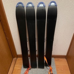 サロモン  スノーブレード　ファンスキー　二組セットの画像