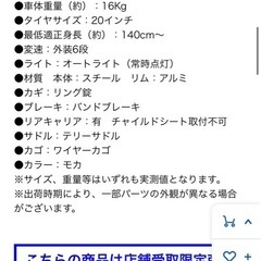 SOUTHERNPORT 20型小径車 外装6段 オートライト（モカ）極美品の画像