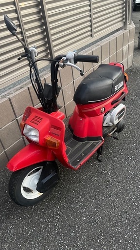 スカッシュ 12v 49cc ベース車両