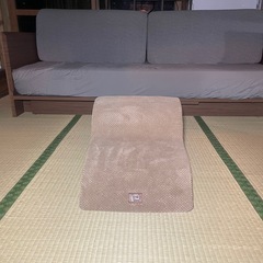 ペット用  段差スロープの画像