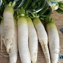 今日はきゅうり沢山あります　朝取立て　野菜の画像
