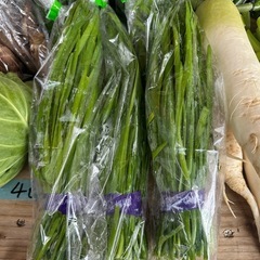 今日はきゅうり沢山あります　朝取立て　野菜の画像