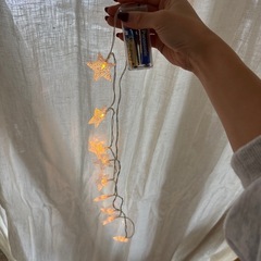 スターライトの画像