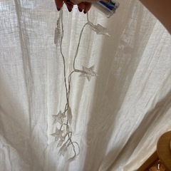 スターライトの画像