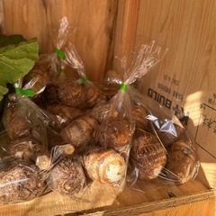 自家栽培　野菜の画像