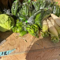 自家栽培　野菜の画像