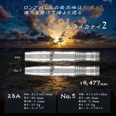 ダーツバレル　ニライカナイ2 ダーツ祭り2025バレルガチャ　コンドルアックス付の画像