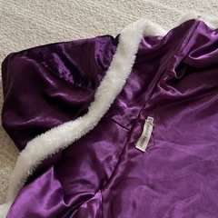 アナ雪　白雪姫　プリンセス　ケープ　フード付きマント　ハロウィン　コスプレ　子供　120の画像