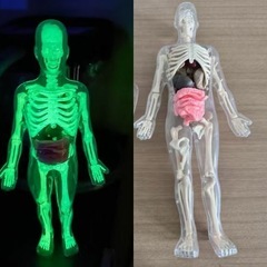 蓄光顔料（黄緑）の画像