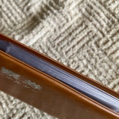 診察券　カードホルダー　10枚+1枚　外側（茶）約 11×8㎝　ビニール製の画像