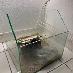 水槽の画像