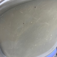 スタッキングチェアの画像