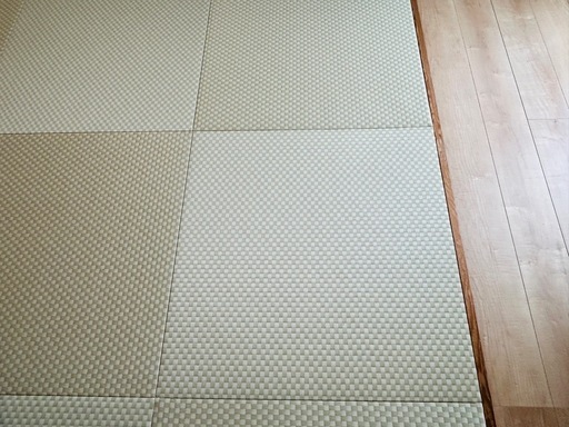 【値下げ】畳 へりなし畳 87×85 20枚