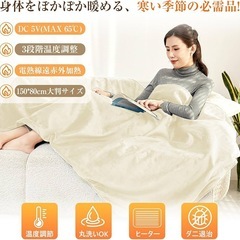 【新品未使用】電気毛布 ひざ掛け 掛け敷き兼用 ダニ退治 洗える 電気ブランケット usbの画像