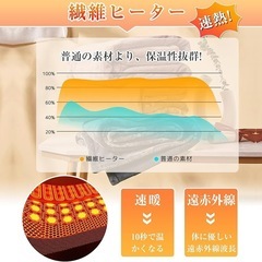 【新品未使用】電気毛布 ひざ掛け 掛け敷き兼用 ダニ退治 洗える 電気ブランケット usbの画像