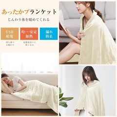 【新品未使用】電気毛布 ひざ掛け 掛け敷き兼用 ダニ退治 洗える 電気ブランケット usbの画像