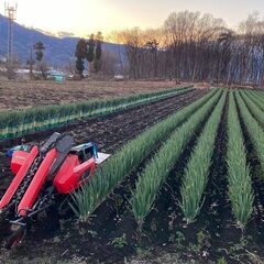 平均年齢２５歳！楽しい職場の農業スタッフ募集中の画像