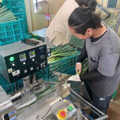 平均年齢２５歳！楽しい職場の農業スタッフ募集中の画像