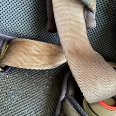 【決定】Smart Angelチャイルドシートの画像