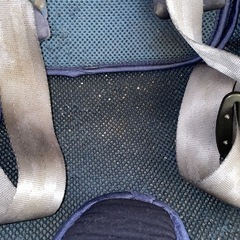 【決定】Smart Angelチャイルドシートの画像