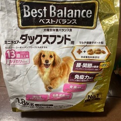 犬　ドックフードの画像