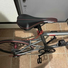 EIZER Z501　ミニベロ　20インチ　8段の画像