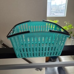 緑のミニカゴの画像