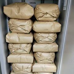 令和7年産　新米　にこまる　玄米　30kgの画像