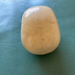 頭蓋骨模型
の画像
