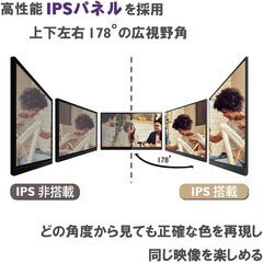 NEC 24.1インチ IPSモニター ディスプレイの画像
