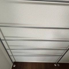 ラダーラックの画像