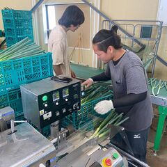 平均年齢２５歳！楽しい職場の農業スタッフ募集中！の画像