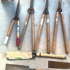 【B373】剪定はさみ/のこぎり/鎌など/13本まとめ/園芸/工具/園芸用品/雑貨/農具/庭/農作業/農業の画像