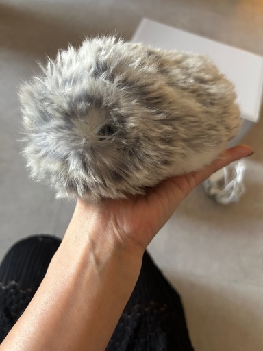 AIペット　モフリン