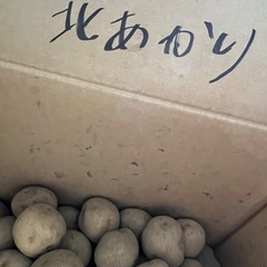 小玉じゃがいも 16個【北あかり とうや 各8個】 の画像