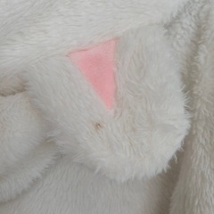 白猫ちゃん？？ふわふわフワフワの画像