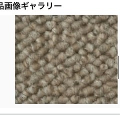 カッーペット別寸　900×2100cmの画像