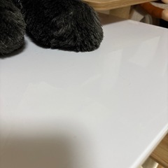 ガス圧昇降式テーブルの画像