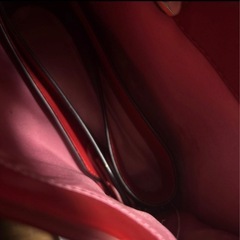 2wayバック でぃずにーの画像