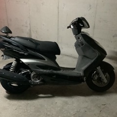 シグナスx2型 台湾の画像