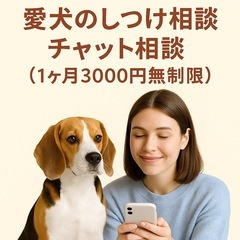 【犬しつけ】チャット相談受付中！の画像