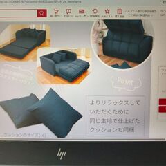 2人用ソファベットの画像
