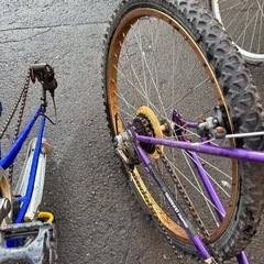自転車ぱーぷパープルの画像