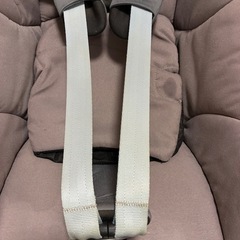 まきしこしマキシコシの画像