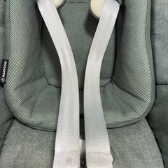 マキシコシの画像