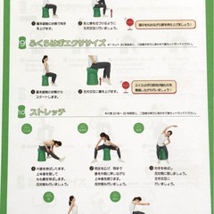 美品 ショップジャパン バウンズシェイプ グリーン 空気入れ付属 中古品の画像