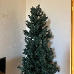 クリスマスツリーの画像