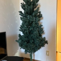 クリスマスツリーの画像