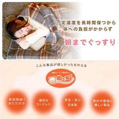 【日本製】蓄熱式コードレス電気あんか「ぬくぬく」の画像