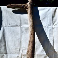 SEASIDEinterior★インテリアディスプレイに流木 Cool driftwood for decorating 167の画像